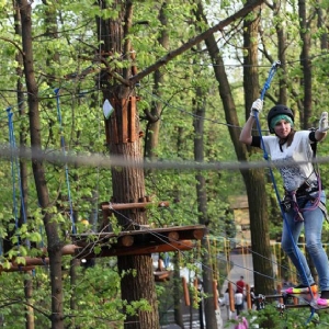Forest crossing