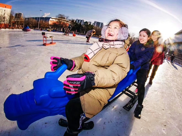 Ski Cart