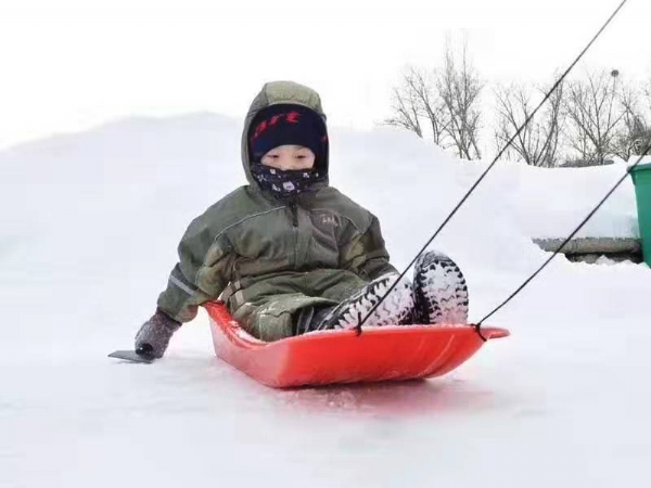 Ski Cart