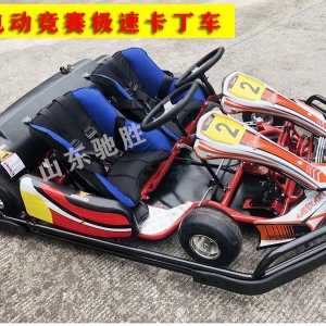 Snow motorcycle kart