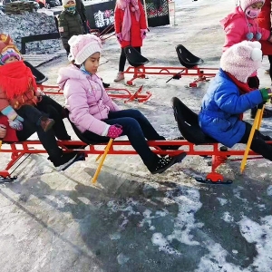 Ski Cart