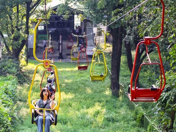 Low-altitude cable car